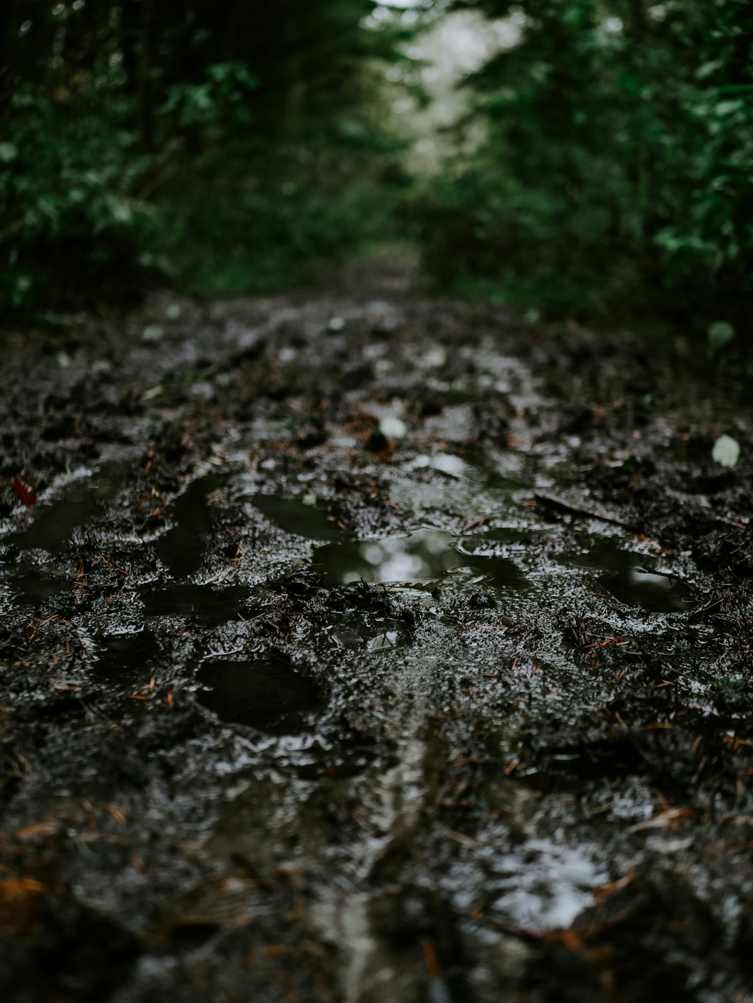 Stuck in the Mud? episode artwork