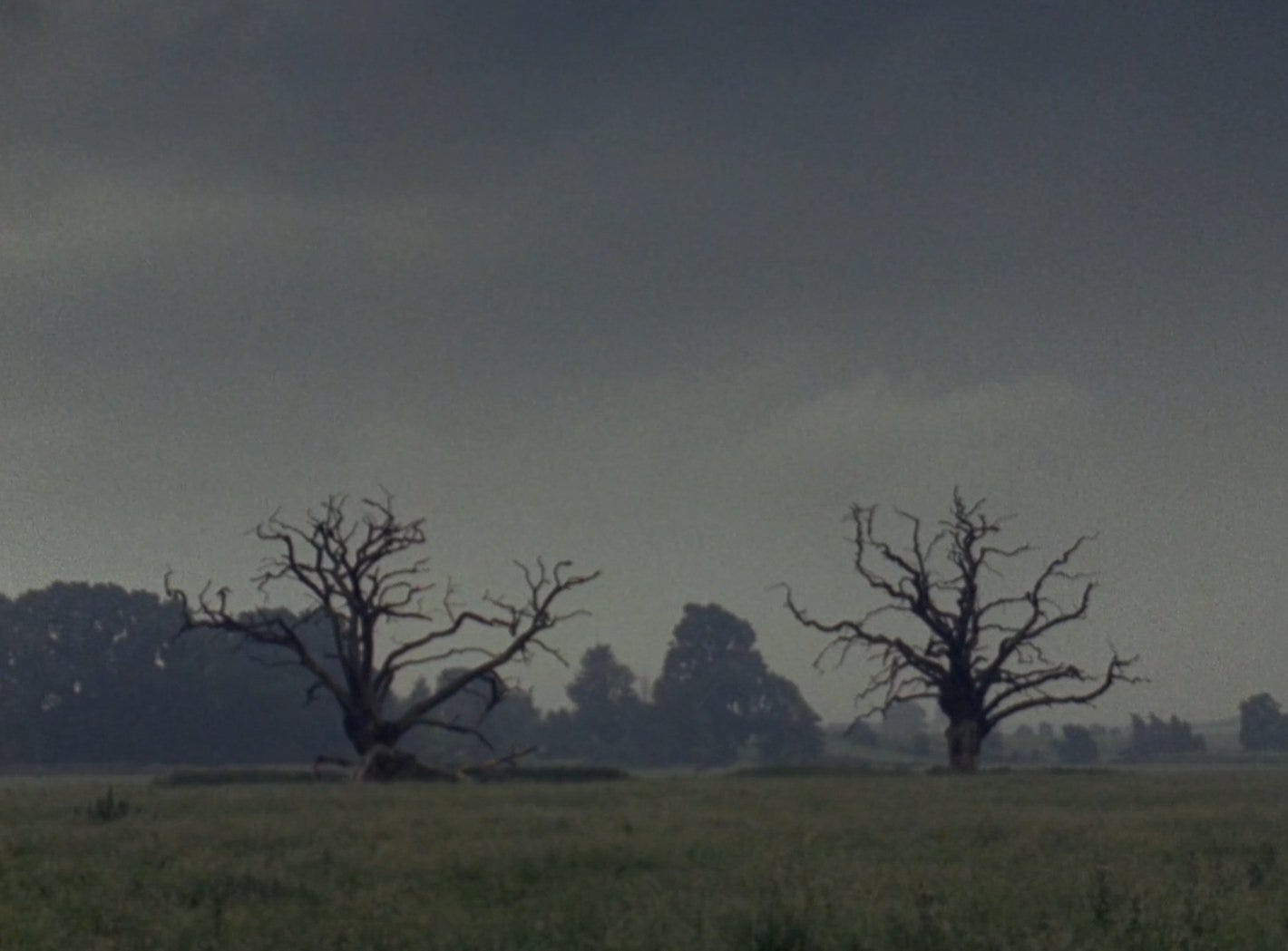 Folk horror and English commons