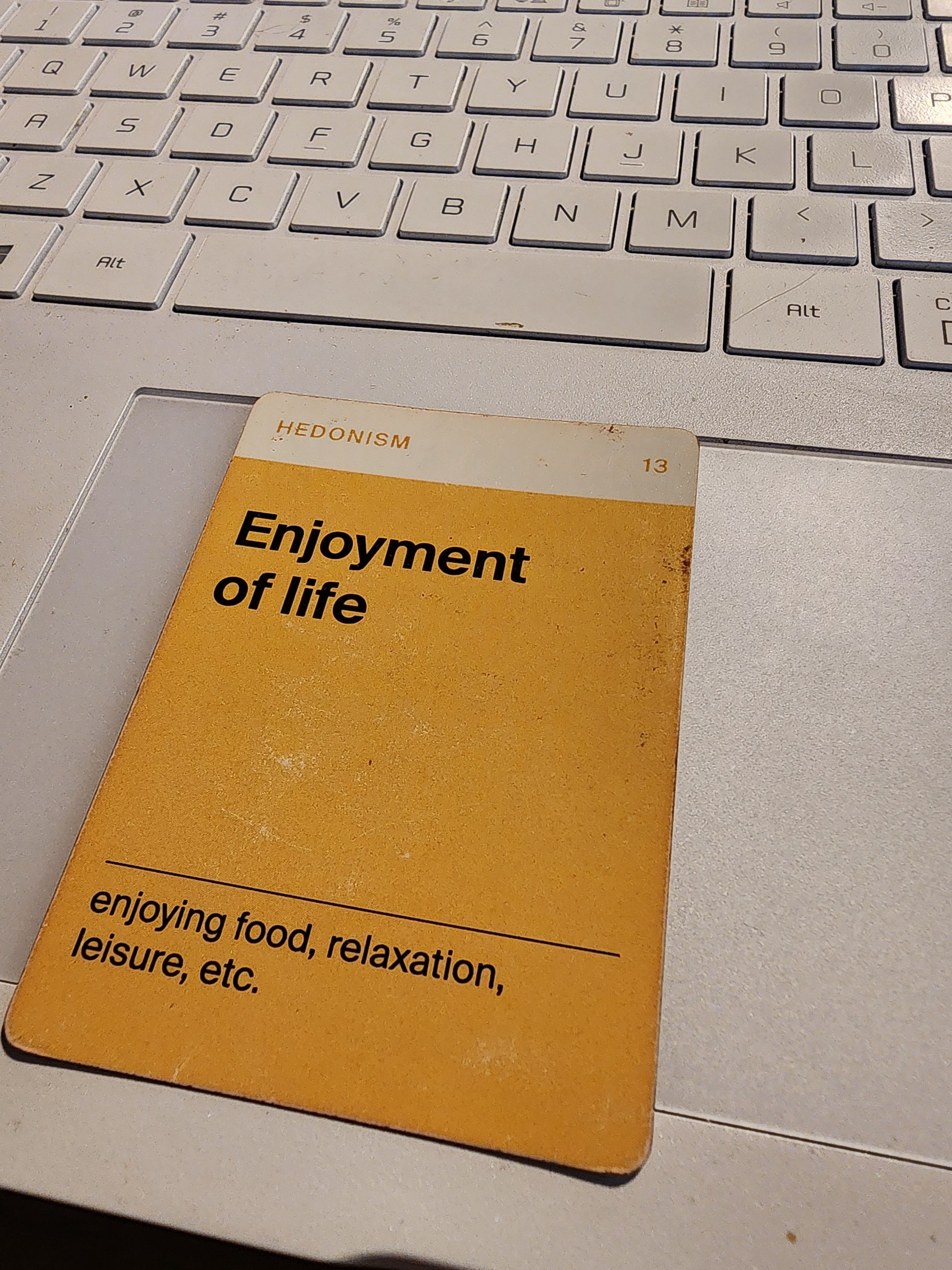 #13 Enjoyment of life episode artwork