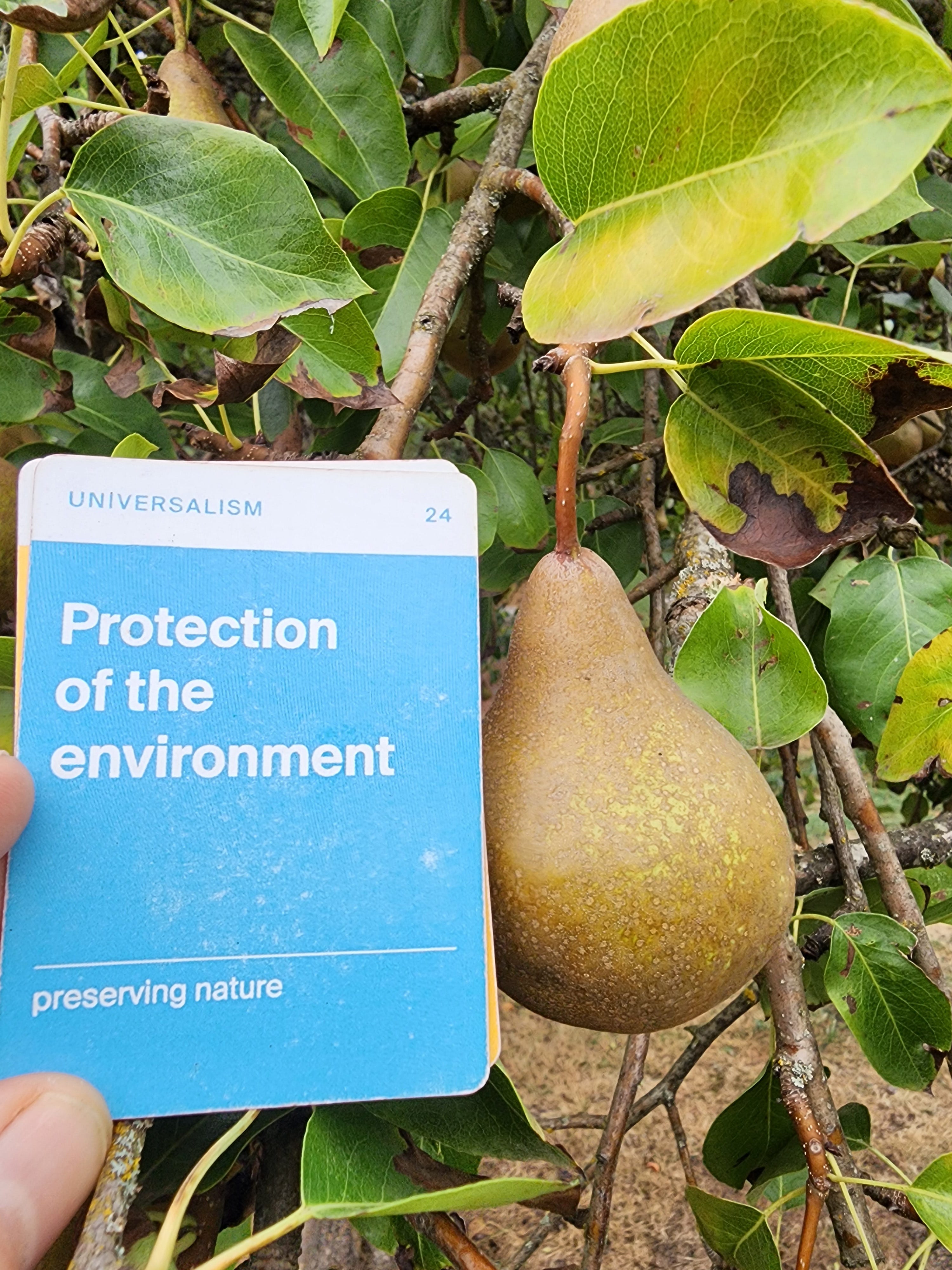 #24 Protection of the Environment episode artwork