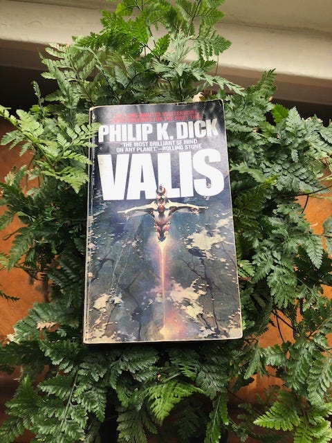 Most Useful Information about Valis by Philip K. Dick