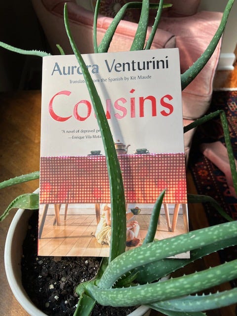 Most Useful Information about Cousins by Aurora Venturini