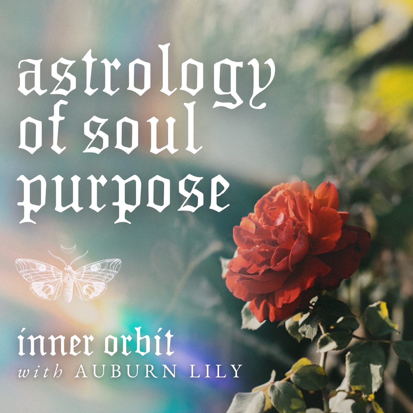 Soul Alchemy ✧ The Astrology of Soul Purpose episode artwork