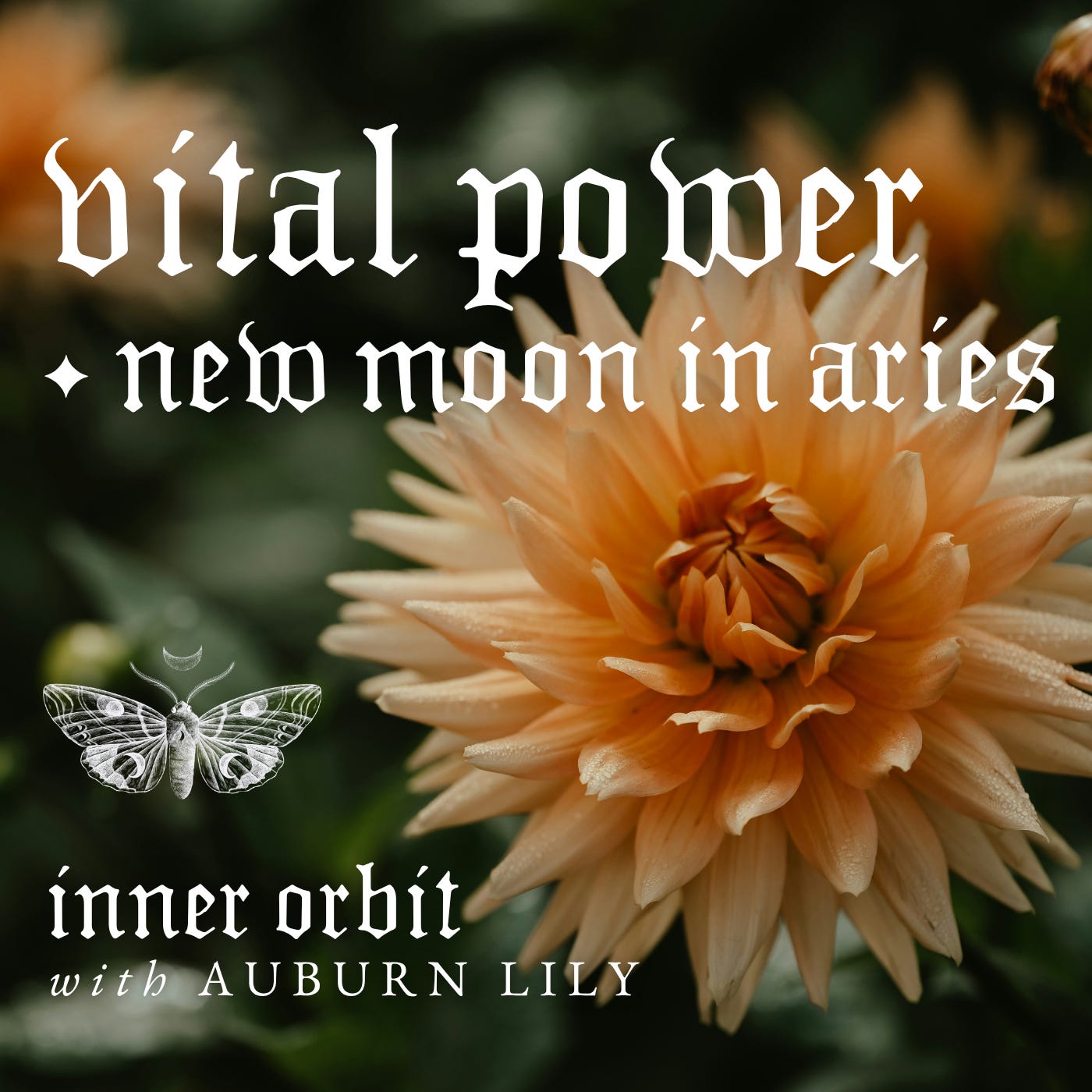 Vital Power ✧ New Moon in Aries episode artwork