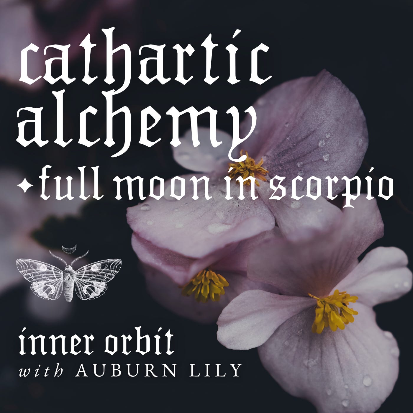 Cathartic Alchemy ✧ Full Moon in Scorpio Horoscopes for Every Sign ✦ 1K Giveaway Details! episode artwork