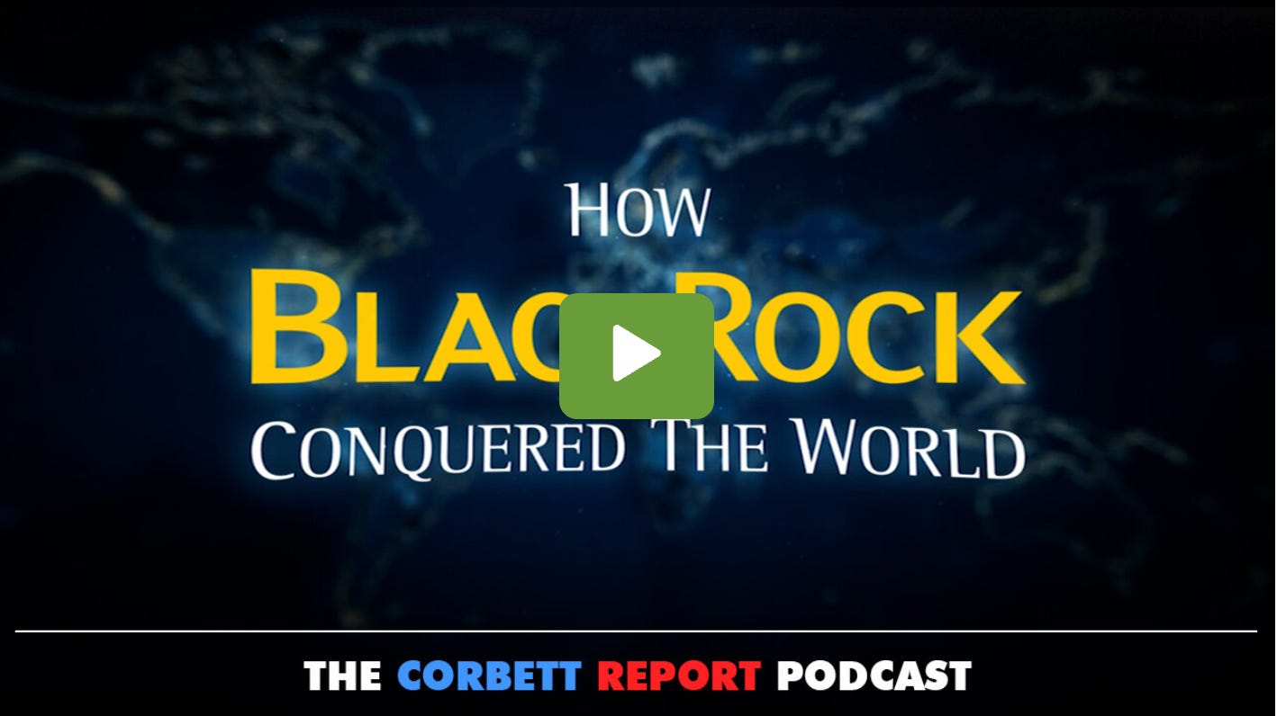 How BlackRock Conquered the World