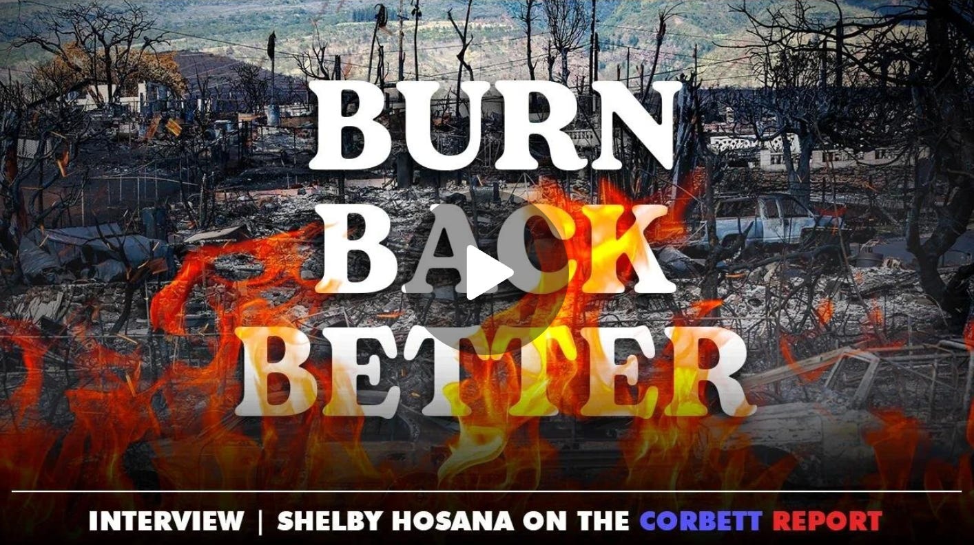 Burn Back Better with Shelby Hosana