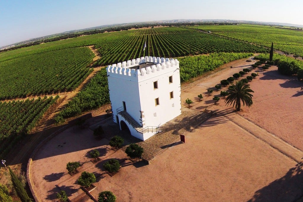 Episode 2: Deep in Alentejo Wine Country