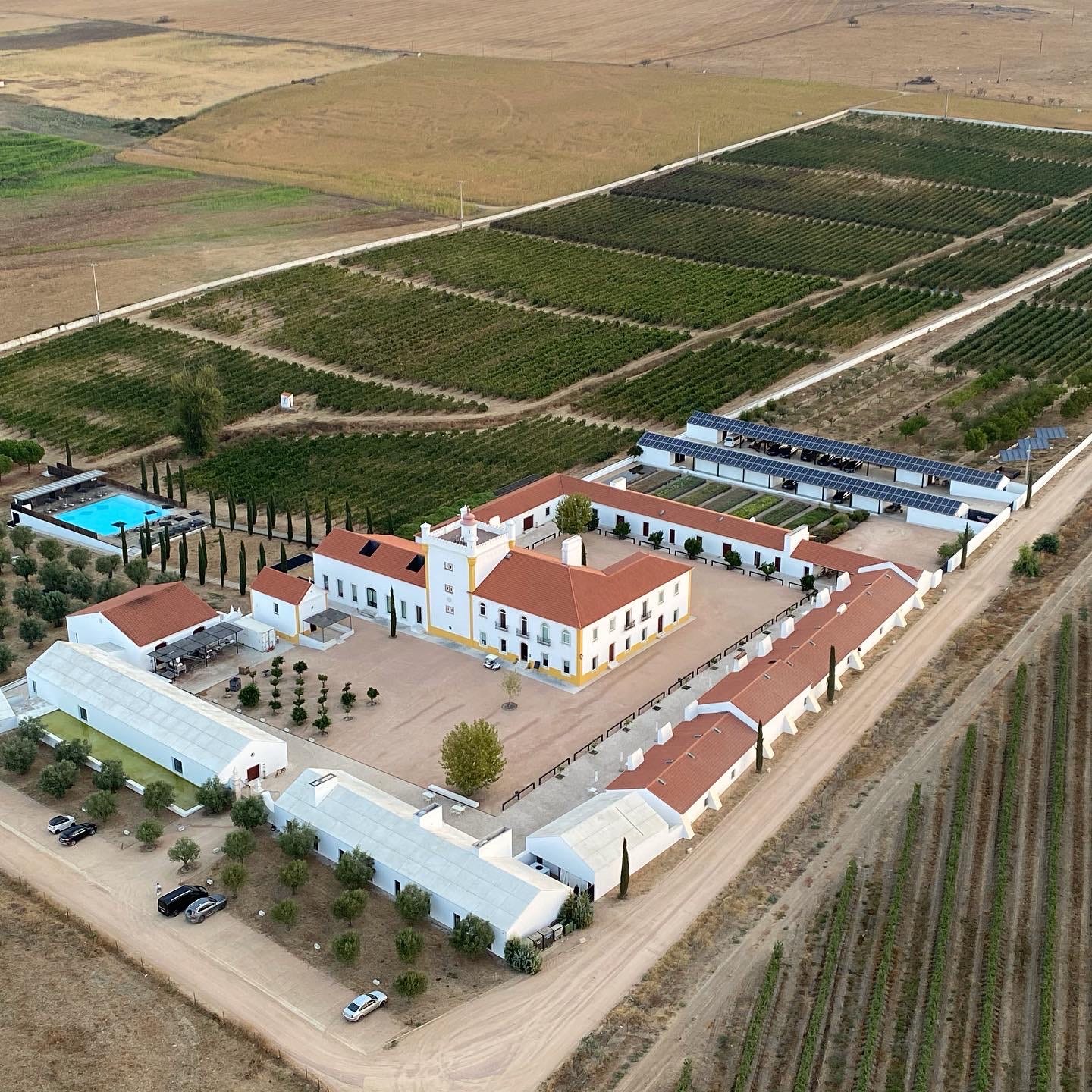 Ana & Al\'s Big Portuguese Wine Adventure