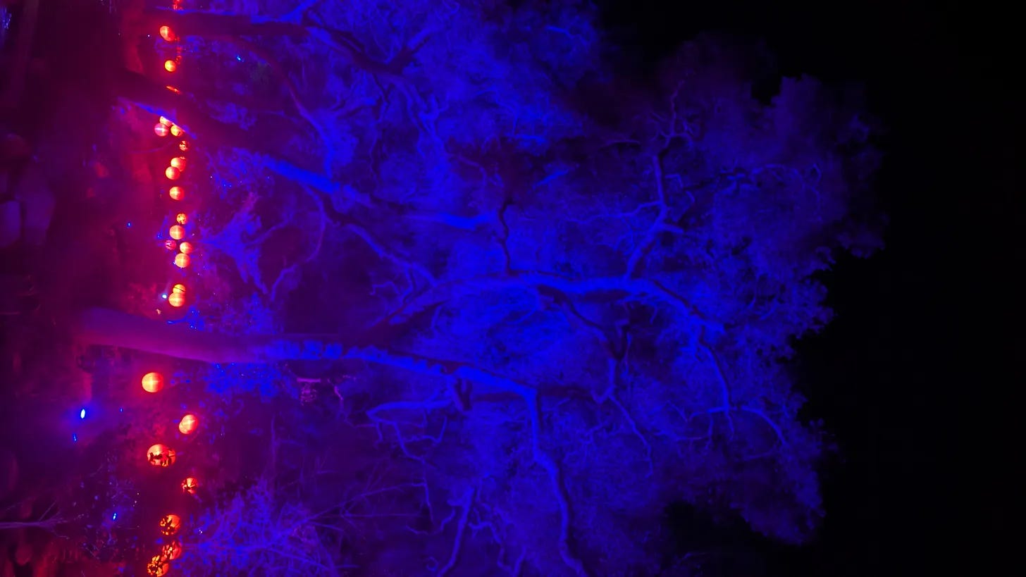 The Psychology of Certainty: How Fear, Identity, and Grief Shape Our Beliefs