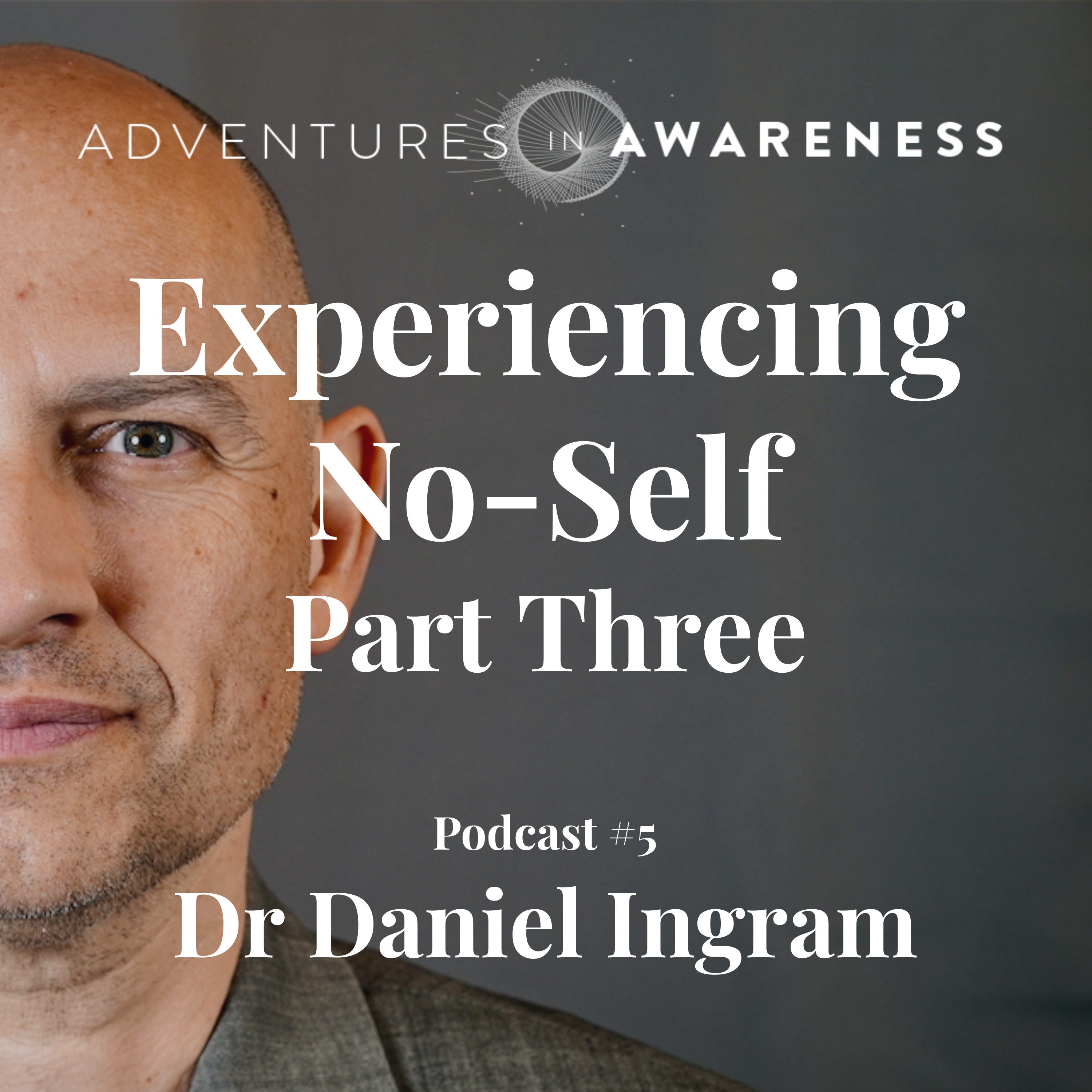 Daniel Ingram - Experiencing No Self: Part Three