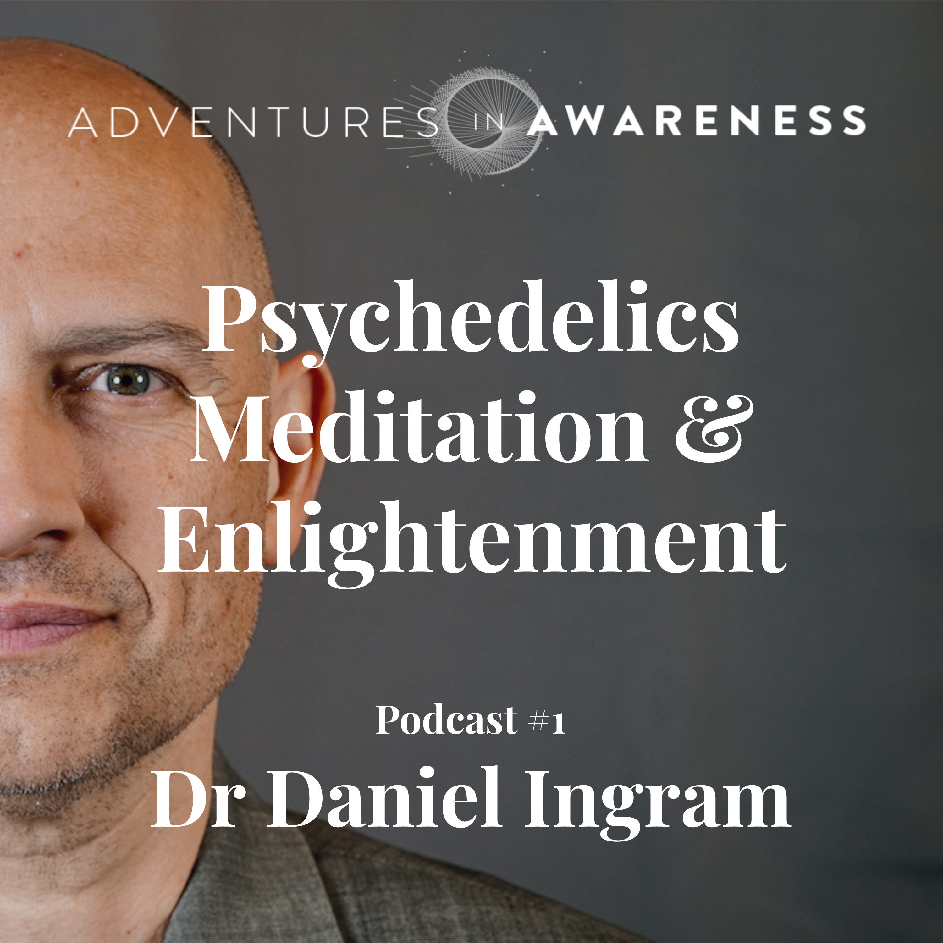 Psychedelics, Meditation & Enlightenment - Dr Daniel Ingram
