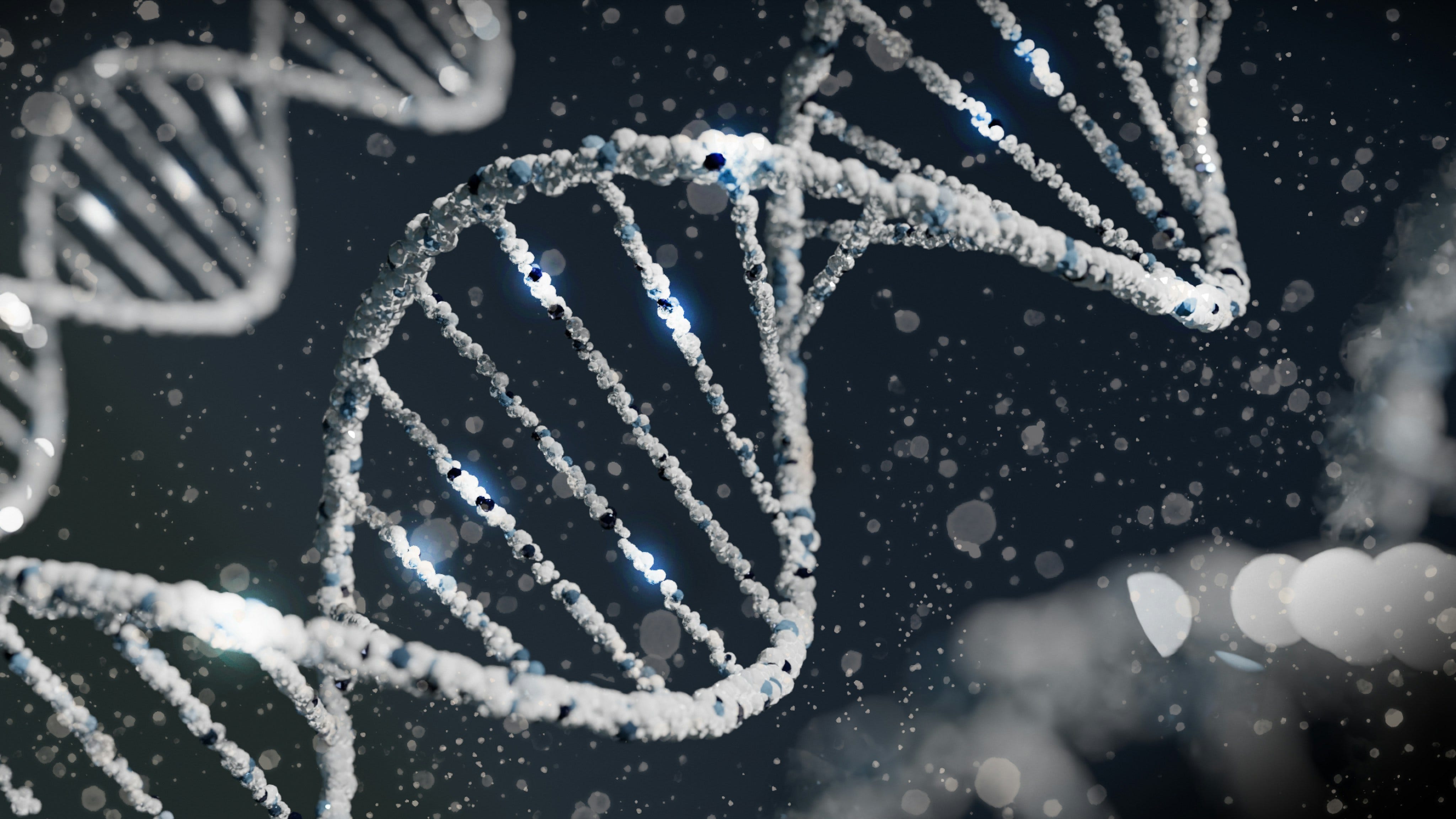 BONUS: Is autism simply genetic? with Danielle Drinkwater and Naomi Fisher