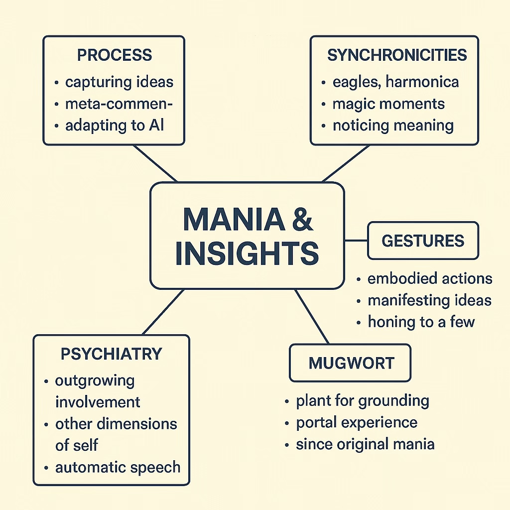 A Diction as Portal: Gestures, Mugwort, and the Nonlinear Architecture of Mania episode artwork