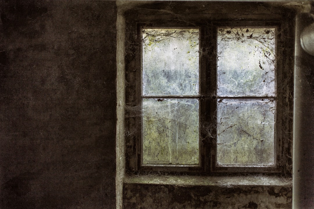 The Dirty Windows of the Self, The Cost of Avoiding the Unknown, and Being a Revelation episode artwork