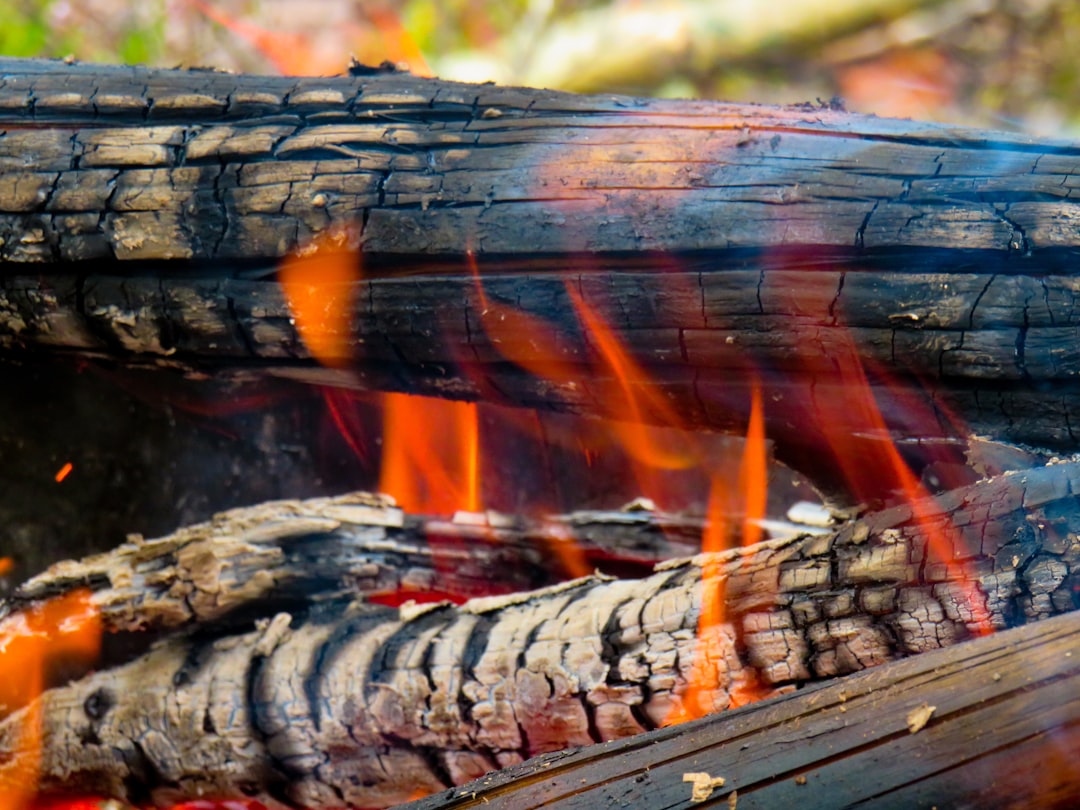 The Slowly Burnt Log Strategy, From Harm Reduction to Charm Augmentation,  episode artwork