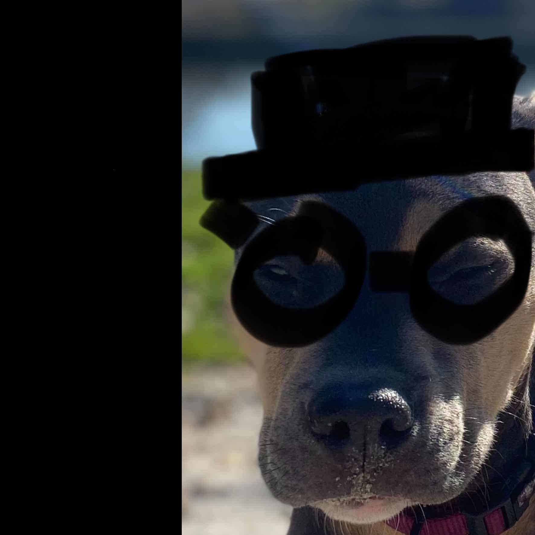 Almost Authentic cover art