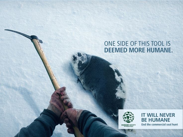 On raising money and distorted incentives