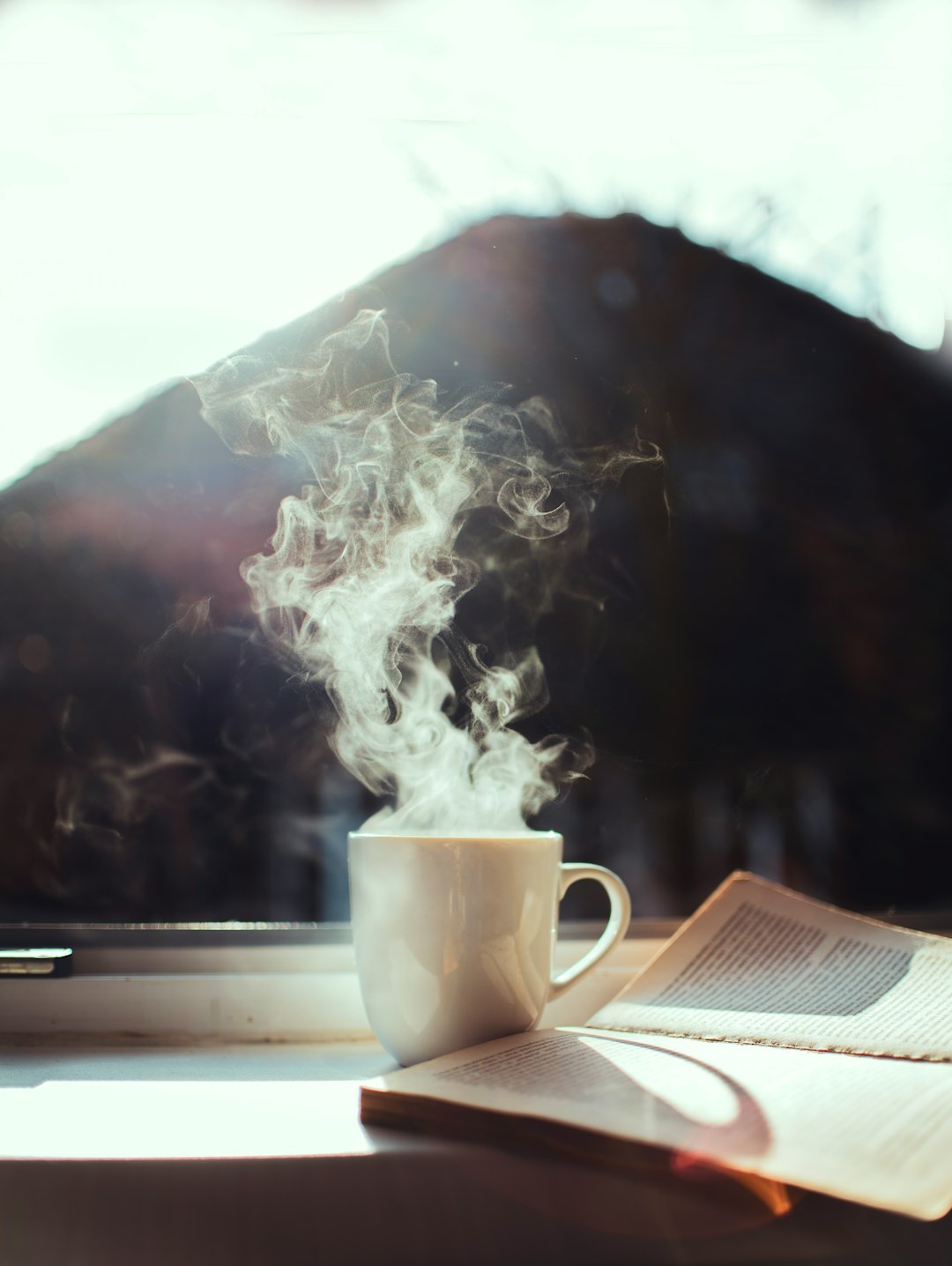 Jan. 13th: The Cold Hard Morning Light
