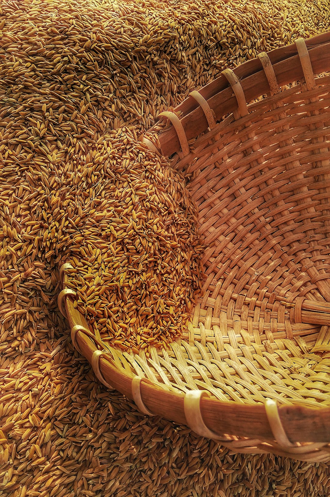 Jan. 20th: Corny Dreams