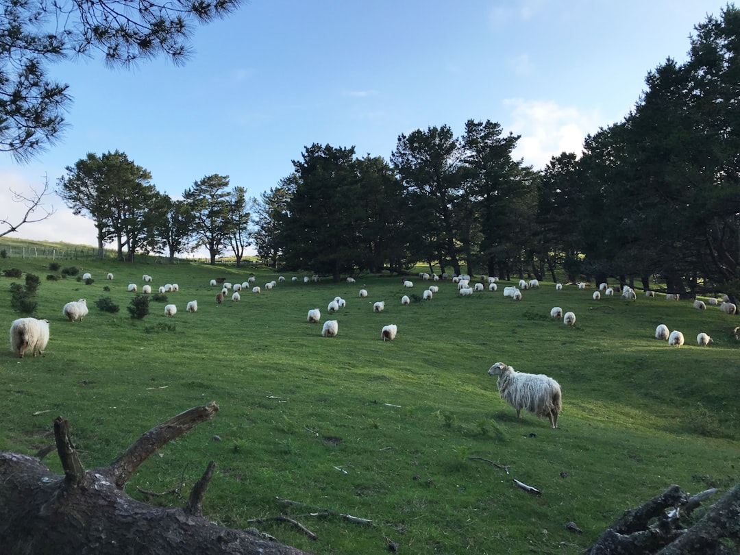 March 9th: Naked and Afraid