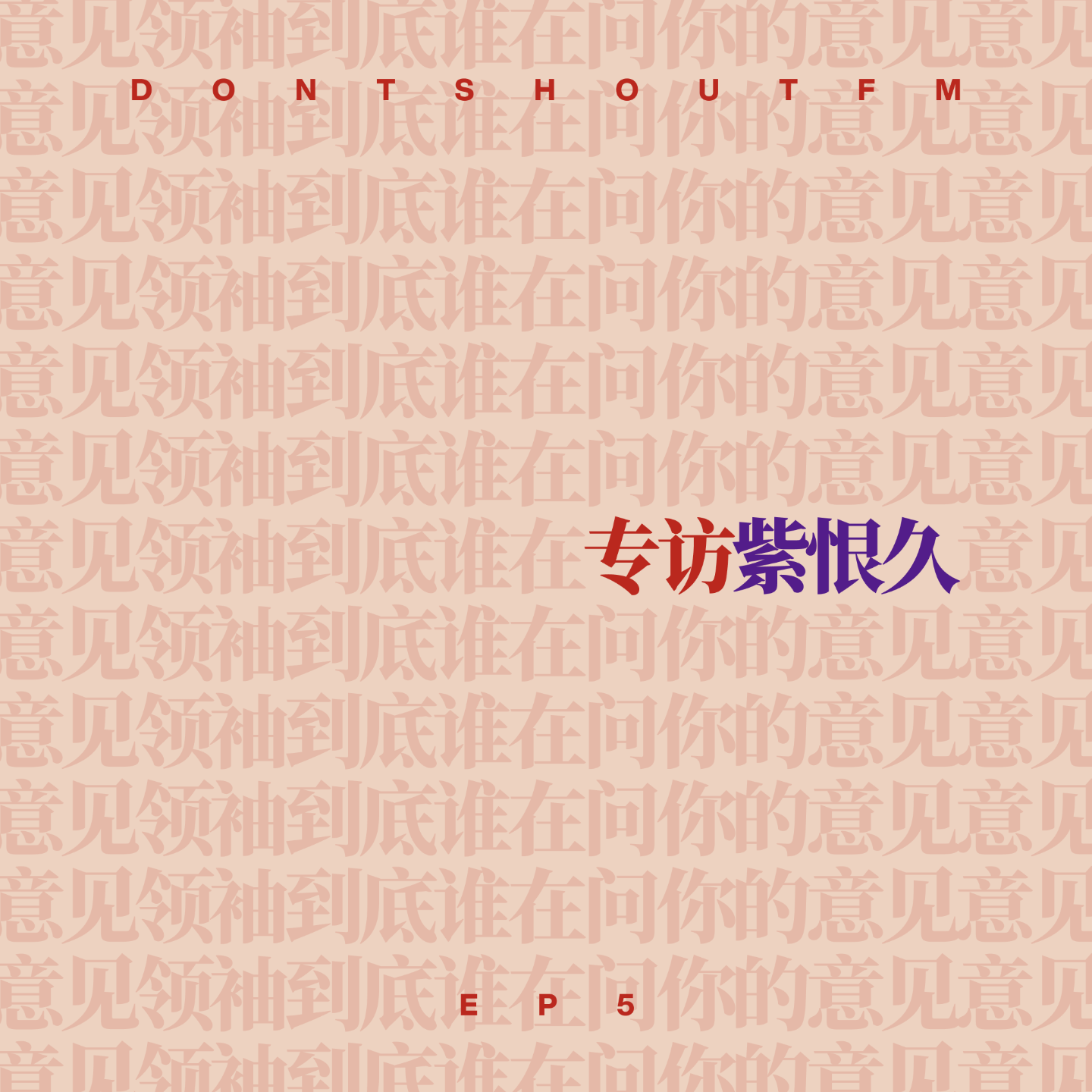 5 专访紫恨久：意见领袖，到底谁在问你的意见？ episode artwork