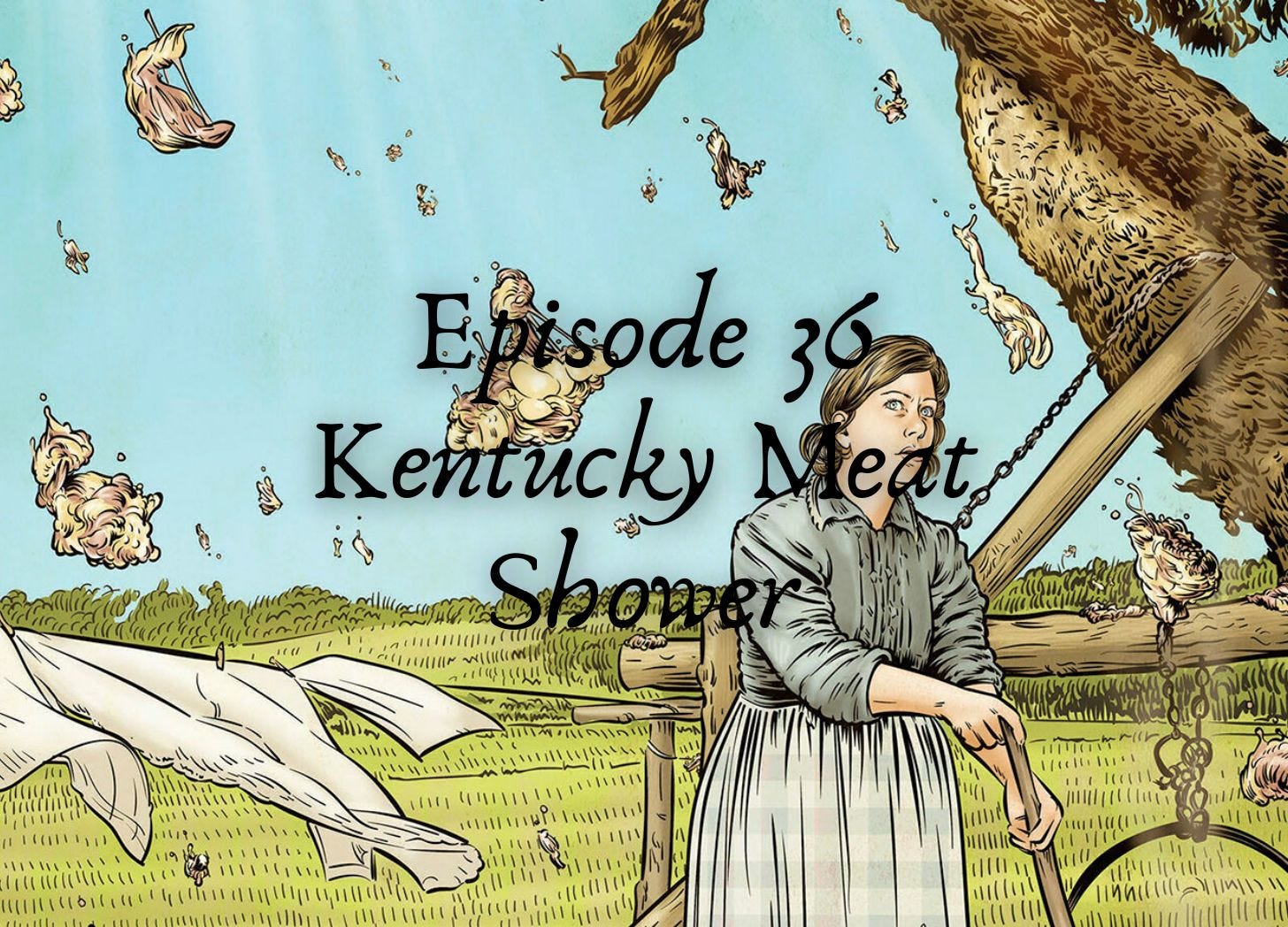 What in the Sam Hill?!