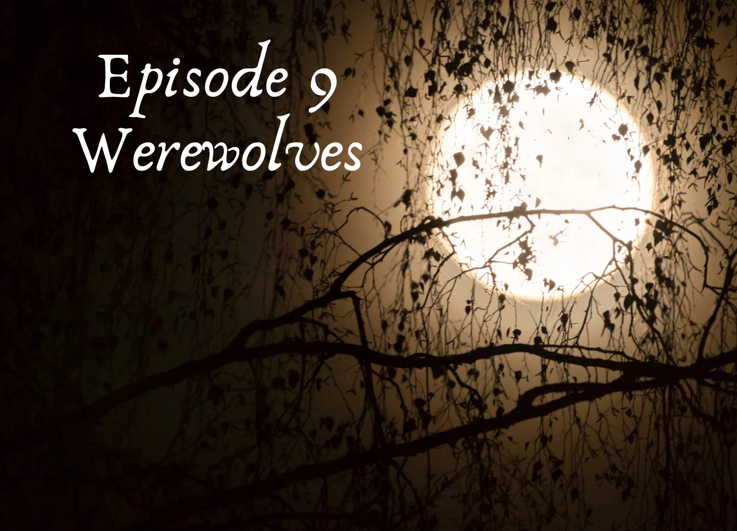 9 - Werewolves episode artwork