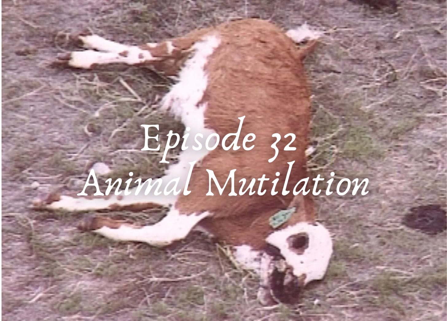 32 - Animal Mutilation episode artwork