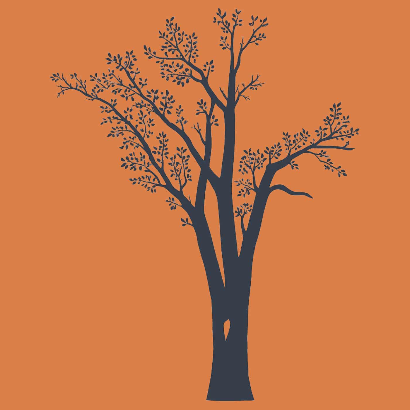 Process Driven Sales Podcast cover art