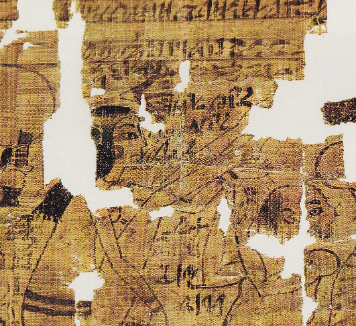 Afterlives of Ancient Egypt with Kara Cooney