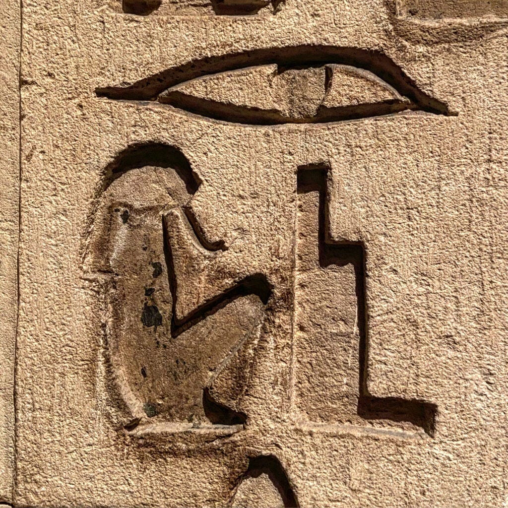 Anatomy of the Ancient Egyptian Soul: The Ren episode artwork