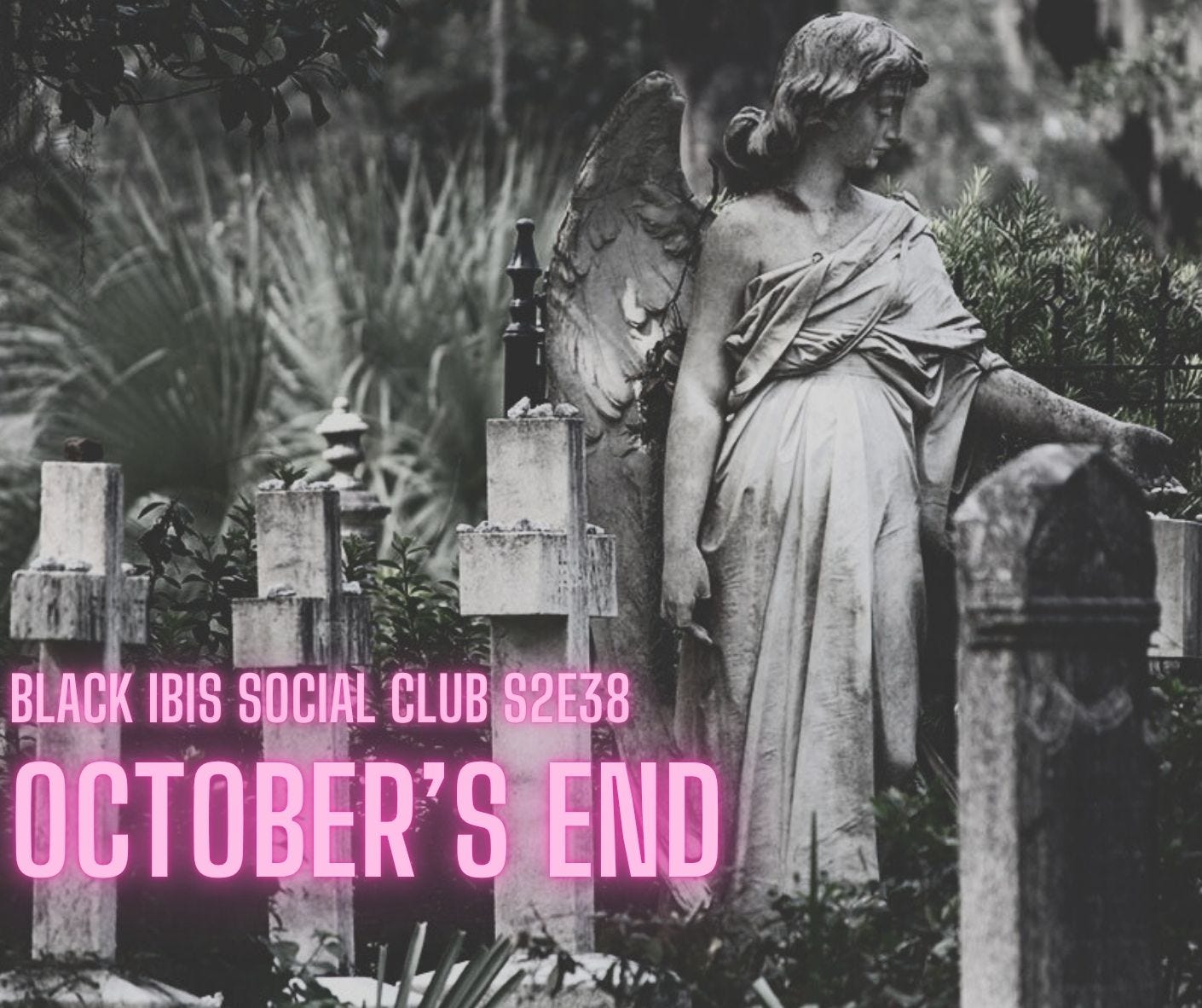 Black Ibis Social Club