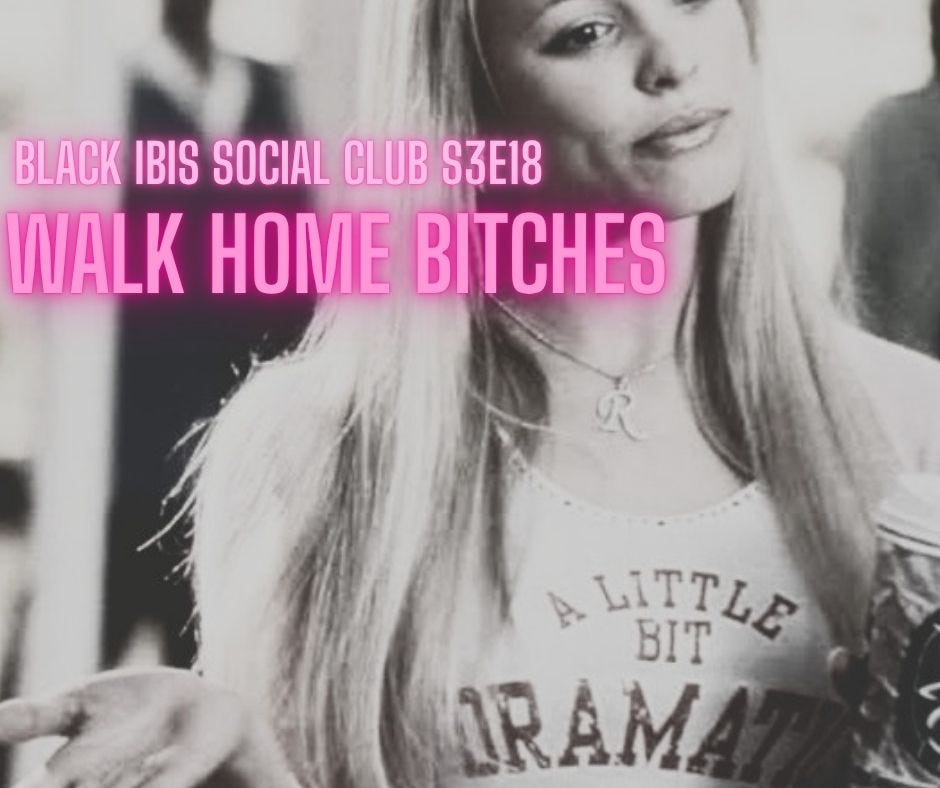 S3E18: Walk Home Bitches episode artwork