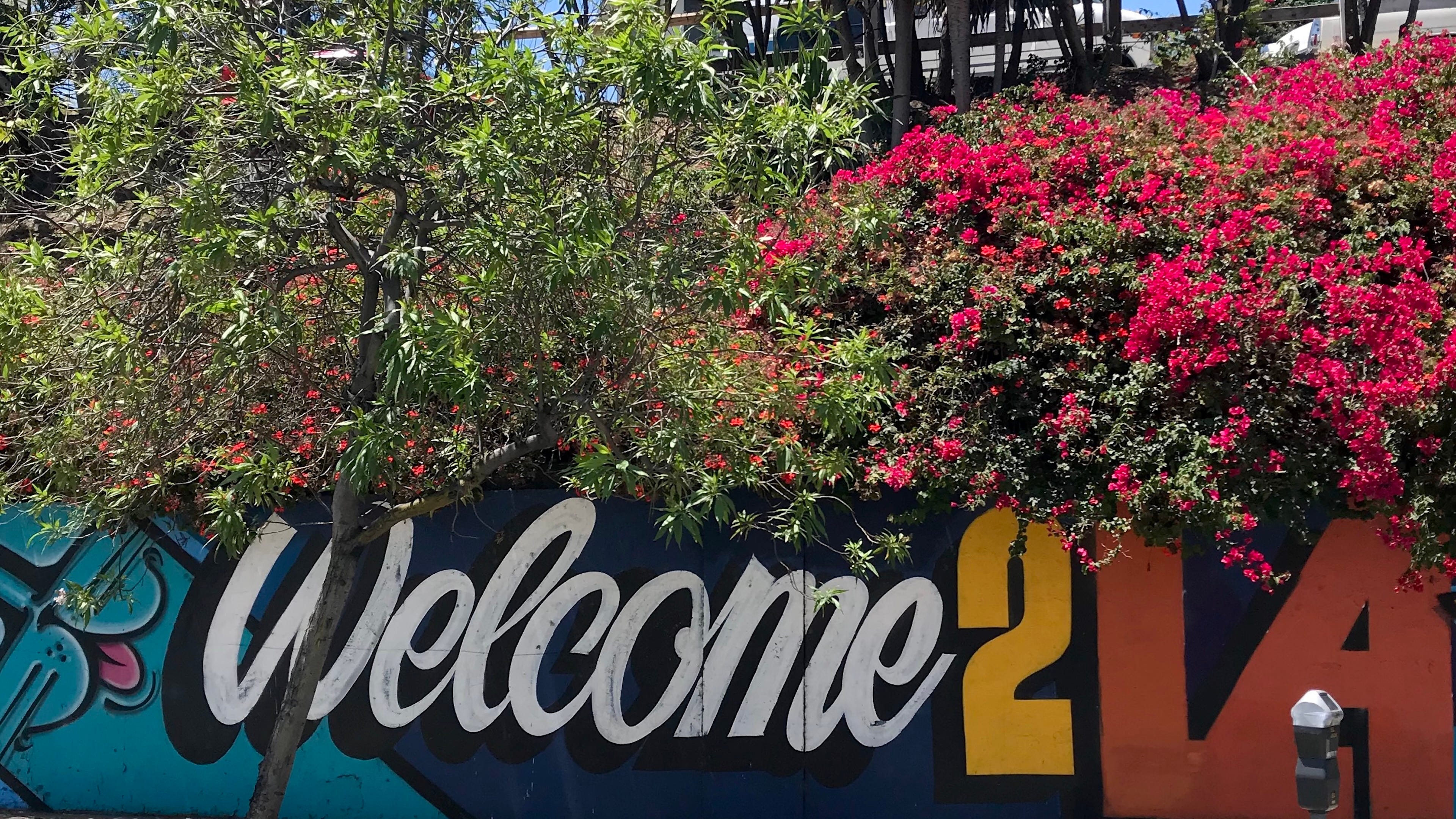 Native Angelino with Tom Levine