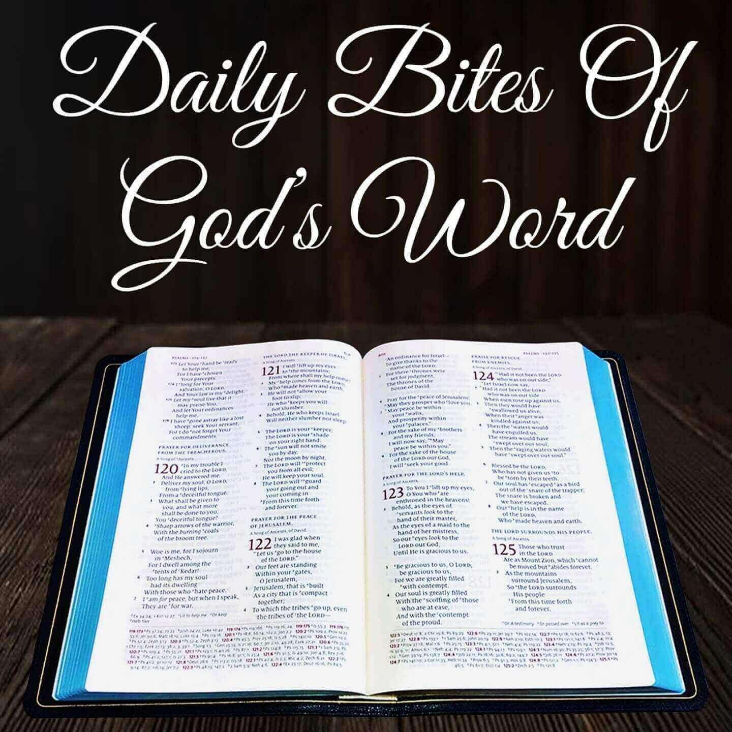 Daily Bites Of God's Word cover art