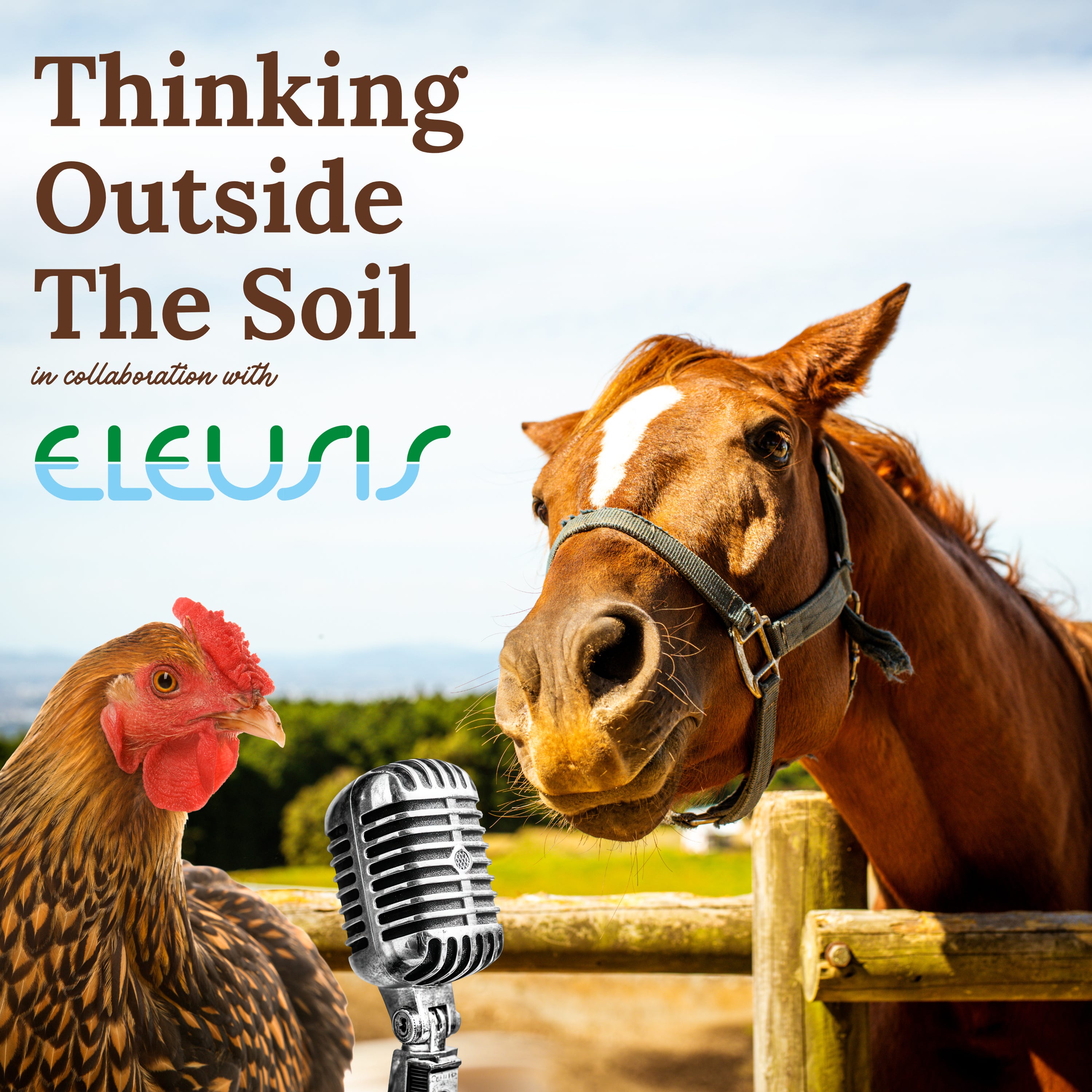 Season 7: Ep. 2 - How to Use Fodder for Healthier Horses: Insights from Paul Johnson episode artwork