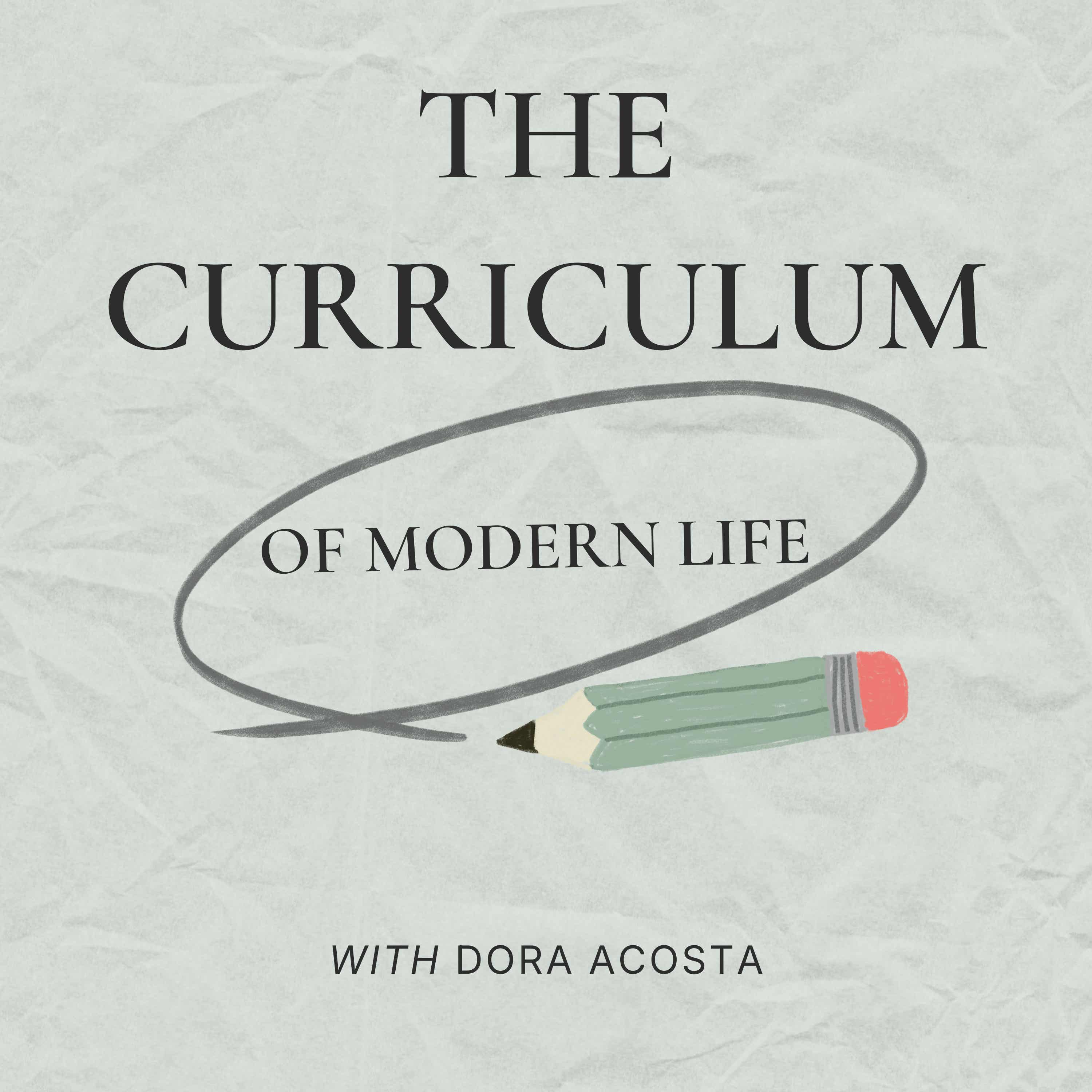 The Curriculum Of Modern Life cover art