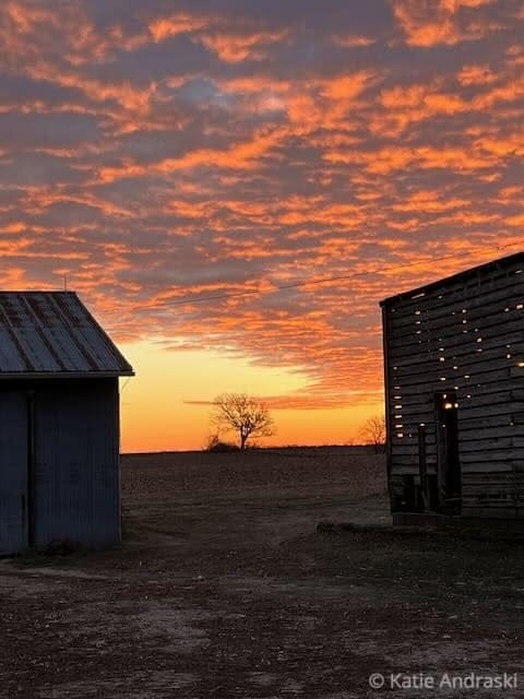 Katie’s Ground Podcast