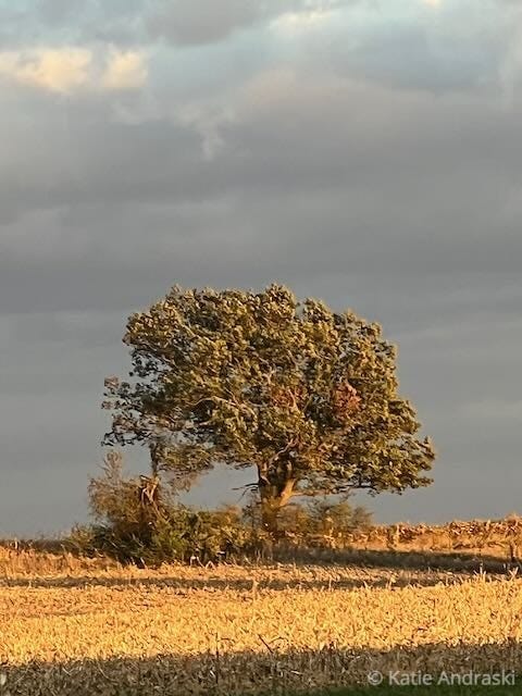 Katie’s Ground Podcast