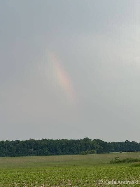 Katie’s Ground Podcast