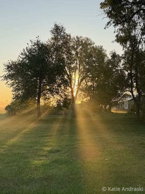 Katie’s Ground Podcast