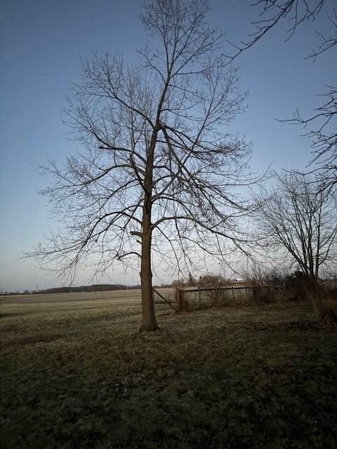 Katie’s Ground Podcast