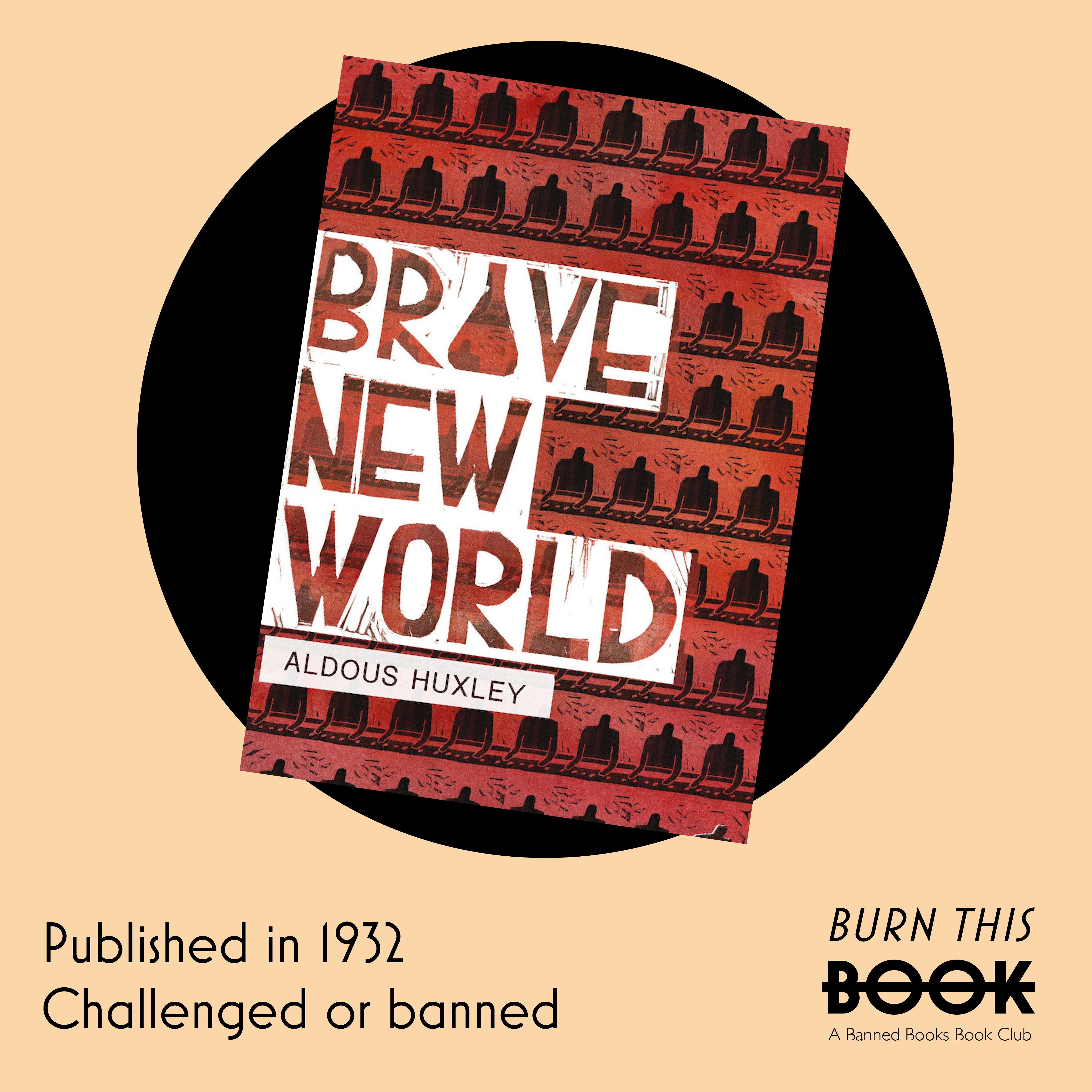 Burn This Book: A Banned Books Book Club