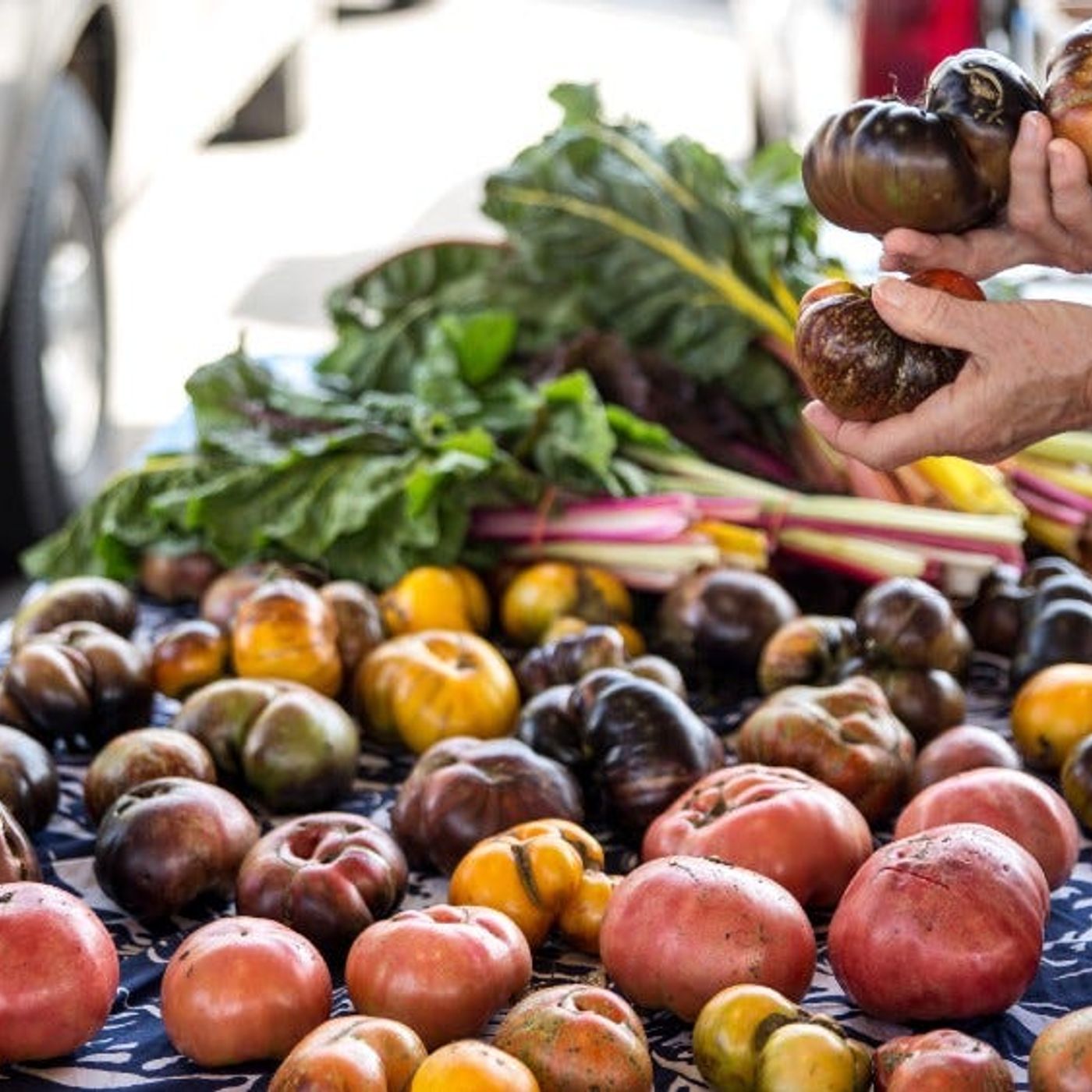 5 Ways to Prepare for Food Shortages on a Budget episode artwork