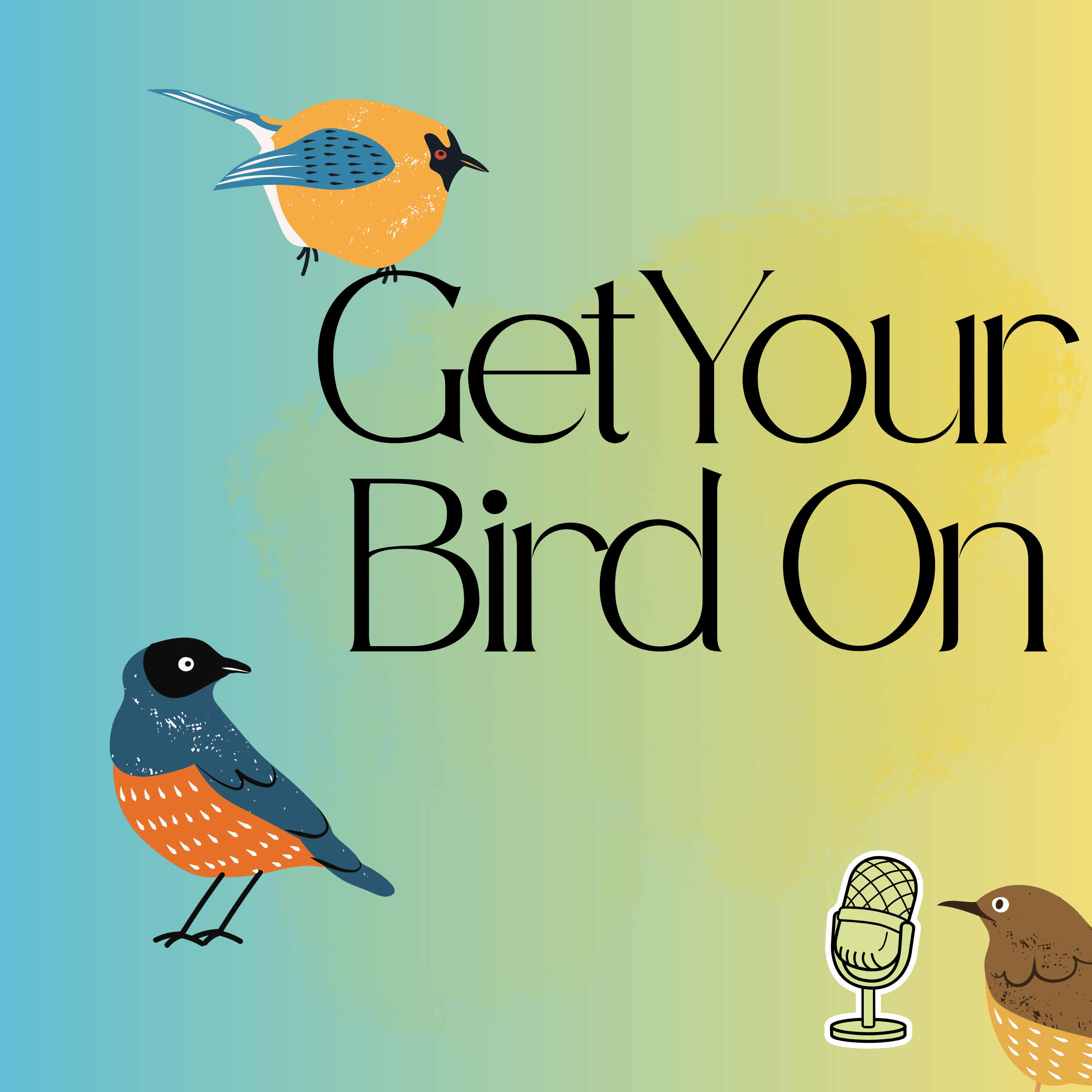Get Your Bird On