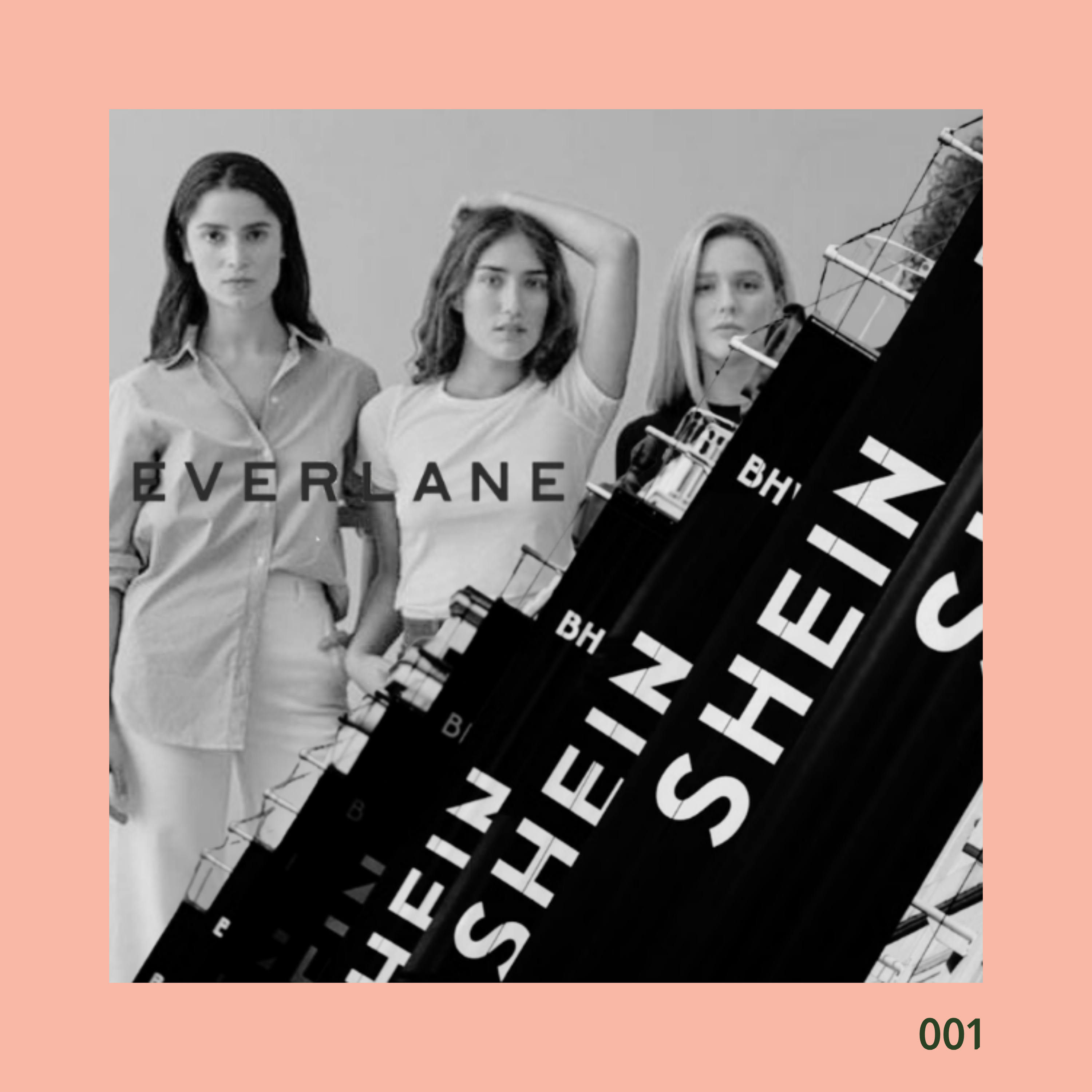The Devil Bought Everlane: The Heartbreak and Economics of Selling Out episode artwork