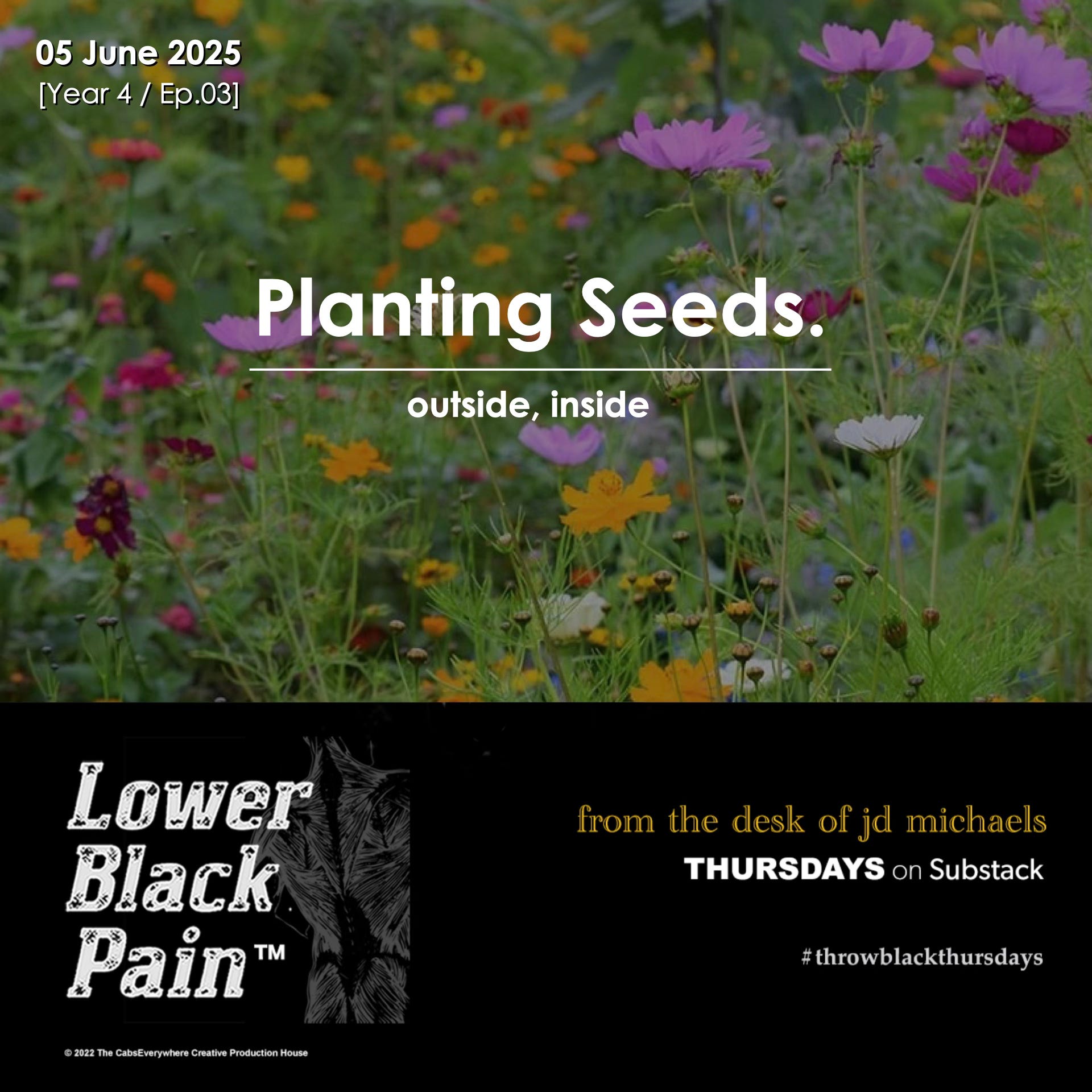 Planting Seeds. episode artwork