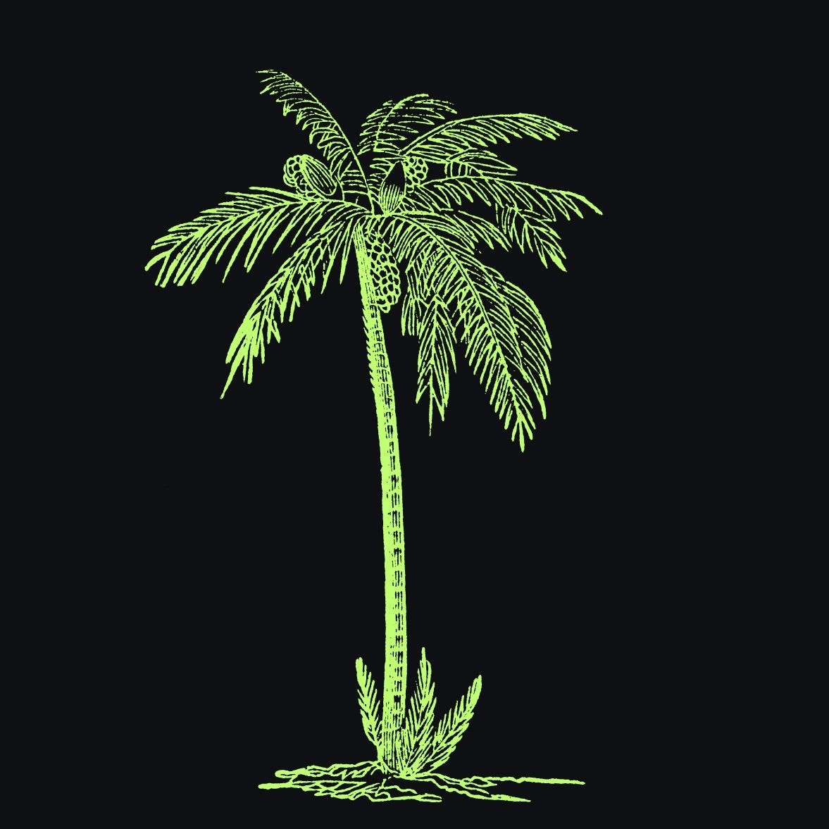 Welcome to the Rooted Youth Podcast episode artwork