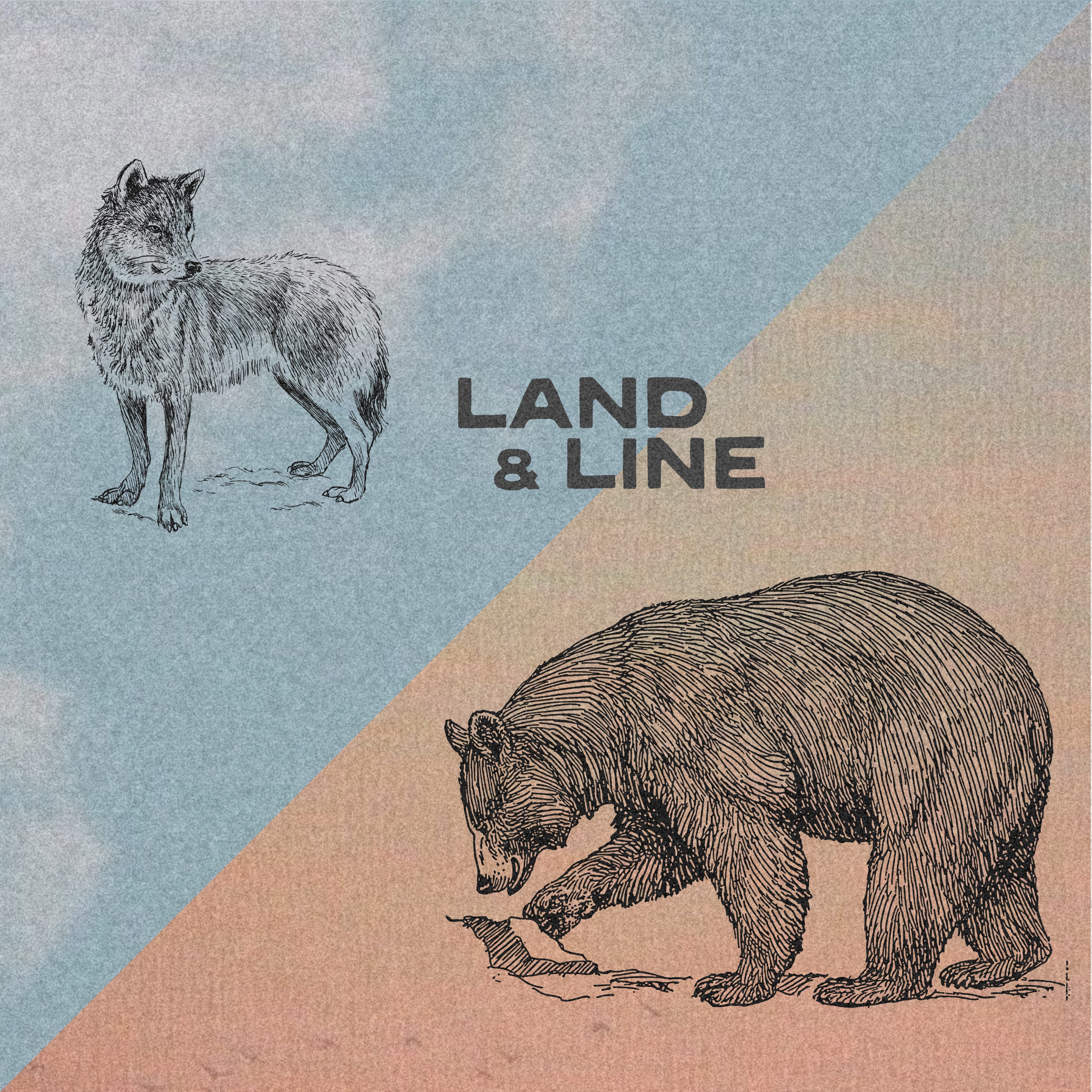 Co-Thriving with Wildlife, with Bears in Hot Tubs Filmmaker Claire Musser and Brian Gordon episode artwork